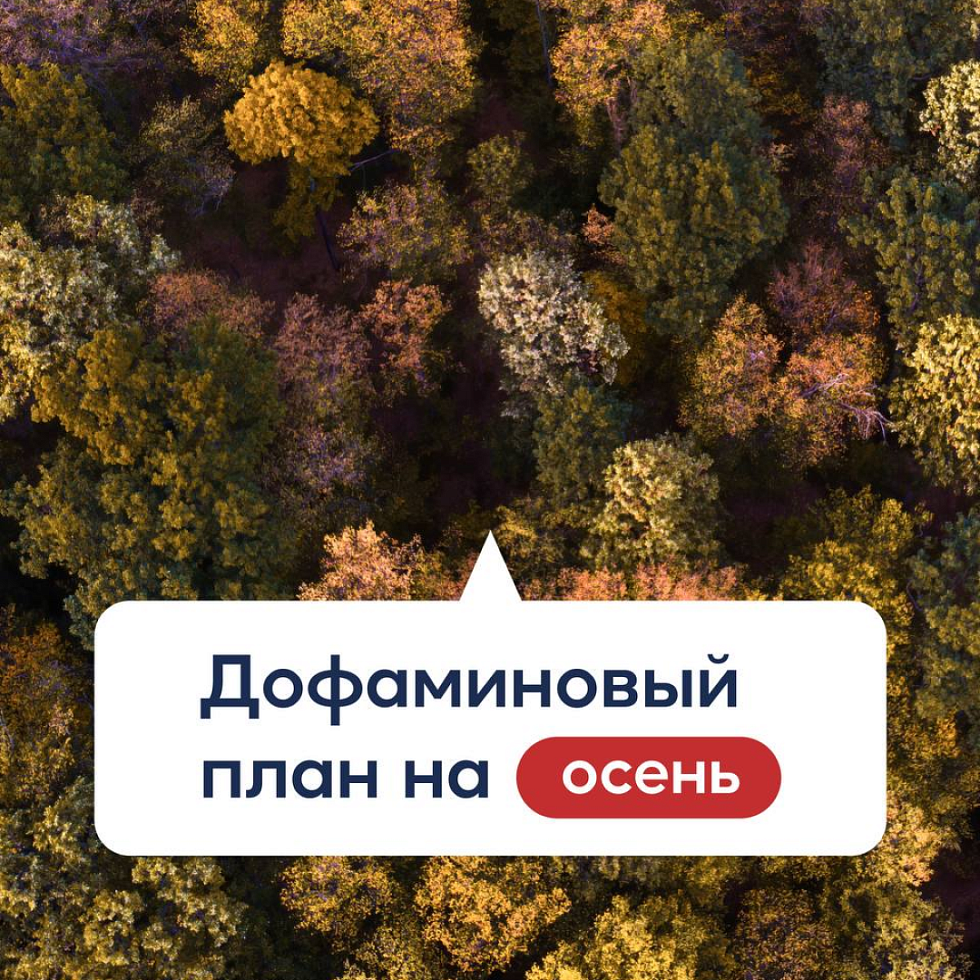 Михалево Парк. Кто сказал, что осень — это про тоску и серость?