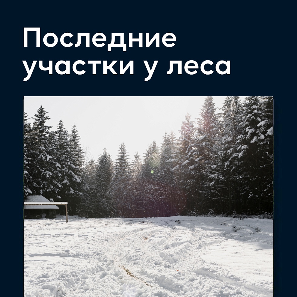 Михалево Парк. Только для тех, кто поспешит: последние участки у леса